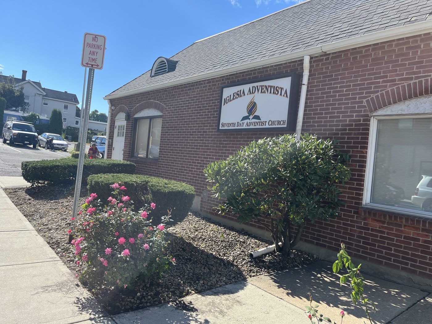 Shaped commercial hedge with fresh mulch after trimming